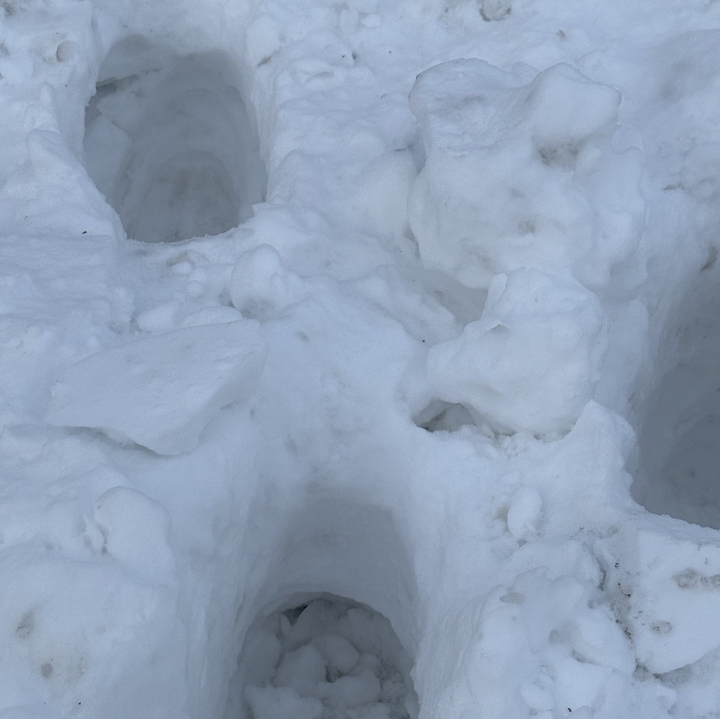 put a description here or you will lose grades